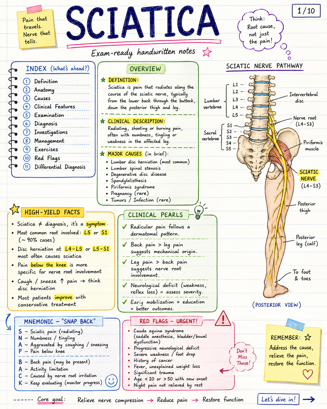 Sciatica physiotherapy notes